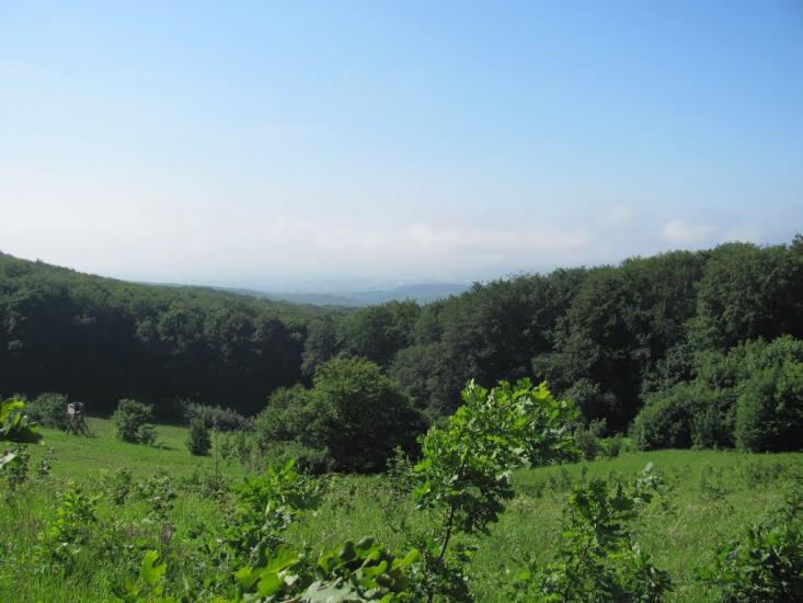 Горошівці з panoramio.com - Горошівці