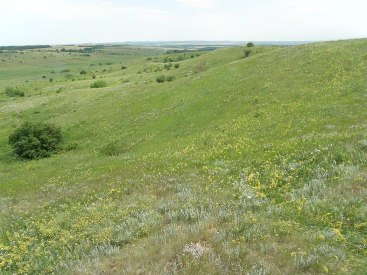 Новозванівка з panoramio.com - Новозвановка