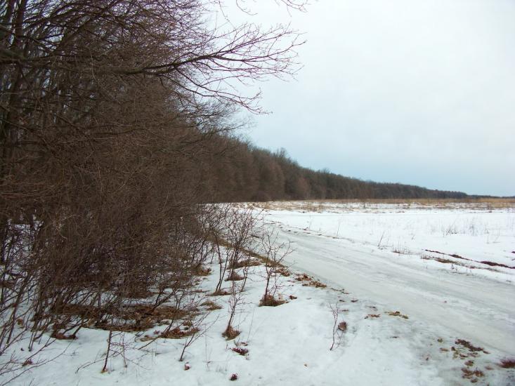 Руська Лозова з panoramio.com - Ruska Lozova