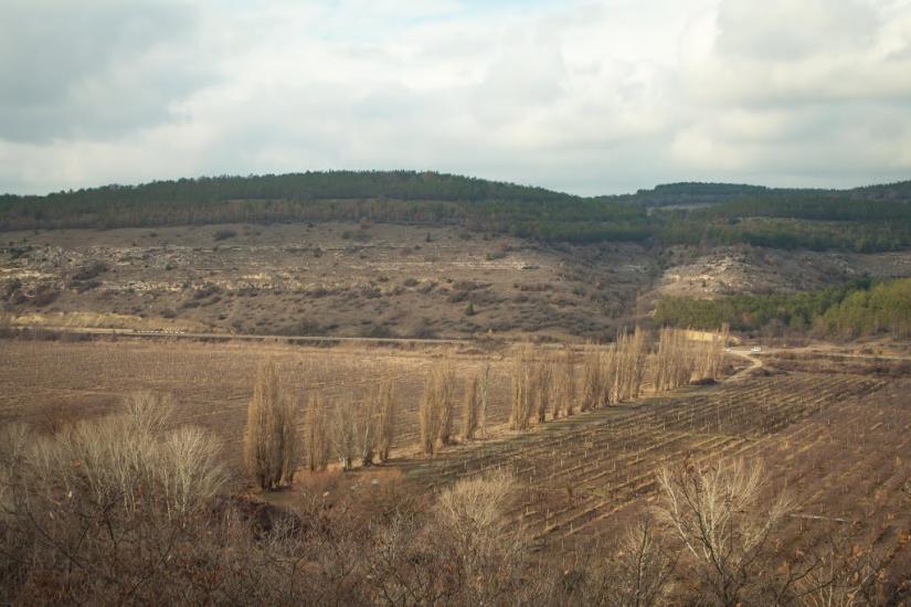 Верхньосадове з panoramio.com - Верхньосадове