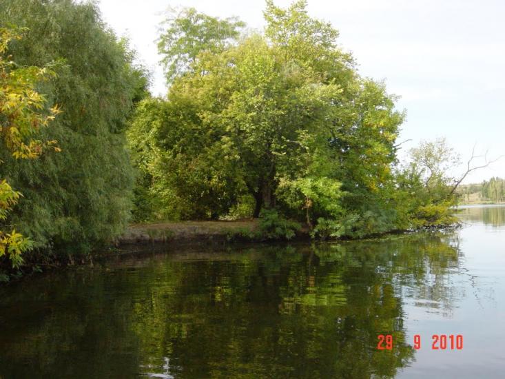 Придніпровське з panoramio.com - Придніпровське