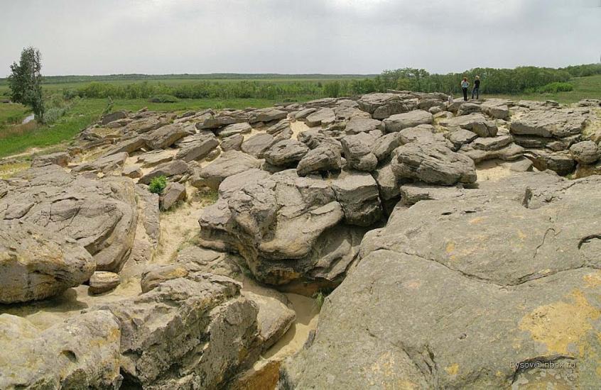 Новопилипівка з panoramio.com - Novopylypivka