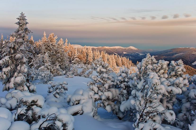 Кузьминець з panoramio.com - Кузьминець