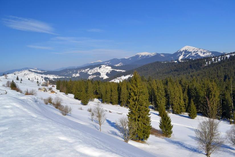 Вороненко з panoramio.com - Voronenko