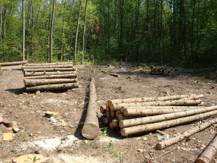 Карпівці з panoramio.com - Карпівці