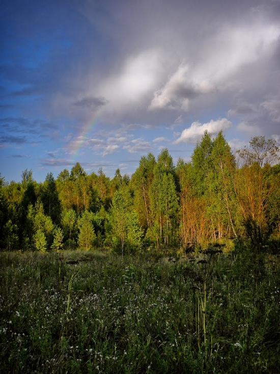 Грибова Рудня з panoramio.com - Грибова Рудня