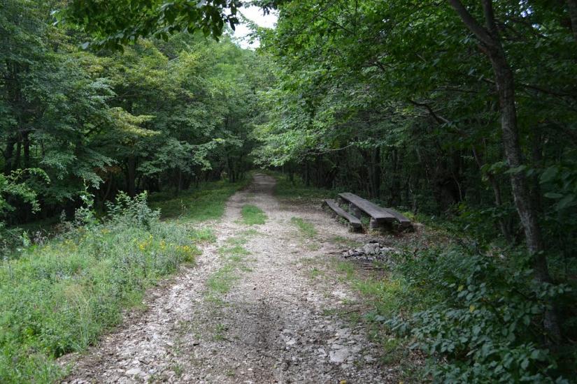 Многоріччя з panoramio.com - Многоречье