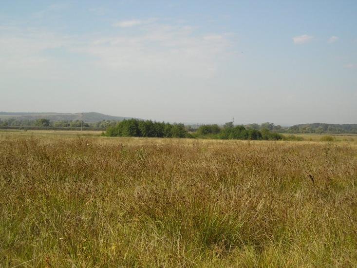 Новоселівка з panoramio.com - Новоселівка