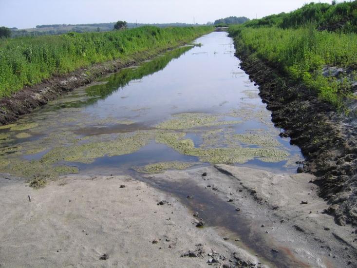 Старі Безрадичі з panoramio.com - Stari Bezradychi