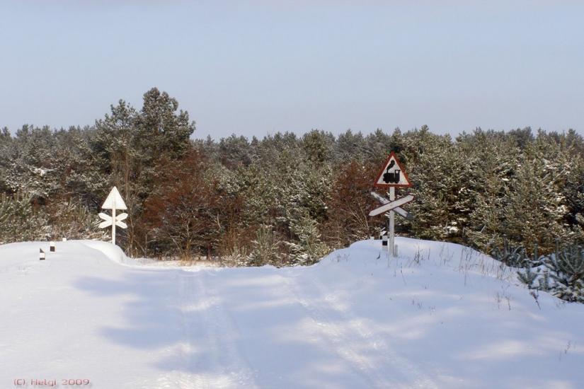 Десна з panoramio.com - Десна