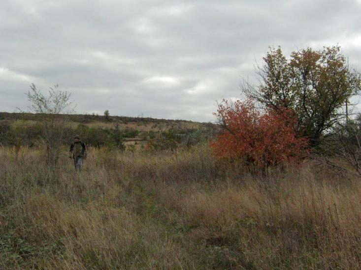 Старозаводське з panoramio.com - Старозаводское
