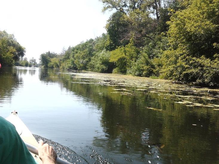 Межиріч з panoramio.com - Межиріч