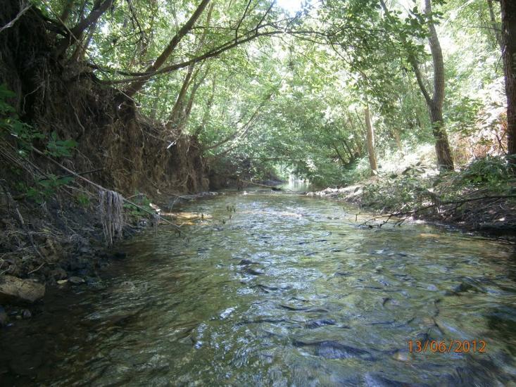 Колядівка з panoramio.com - Колядовка