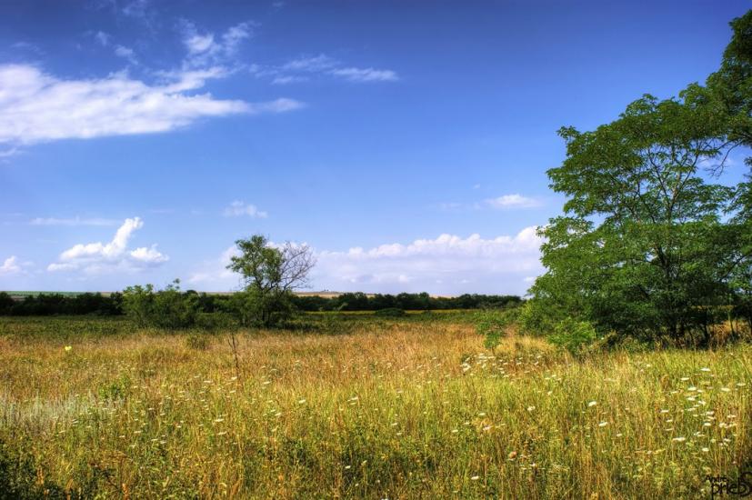Багерове з panoramio.com - Багерове