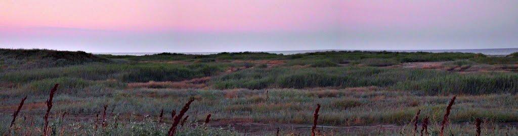 Лиман з panoramio.com - Лиман