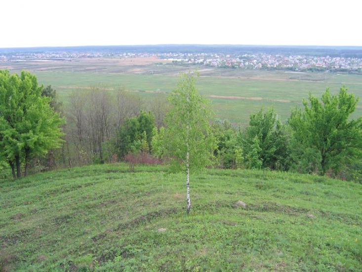 Великі Дмитровичі з panoramio.com - Великие Дмитровичи