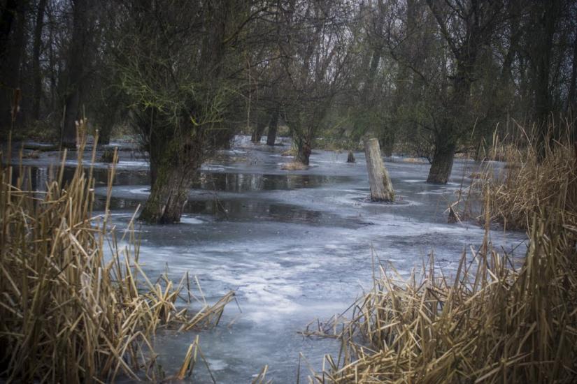 Придніпровське з panoramio.com - Придніпровське