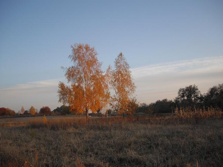 Обухів з panoramio.com - Обухов