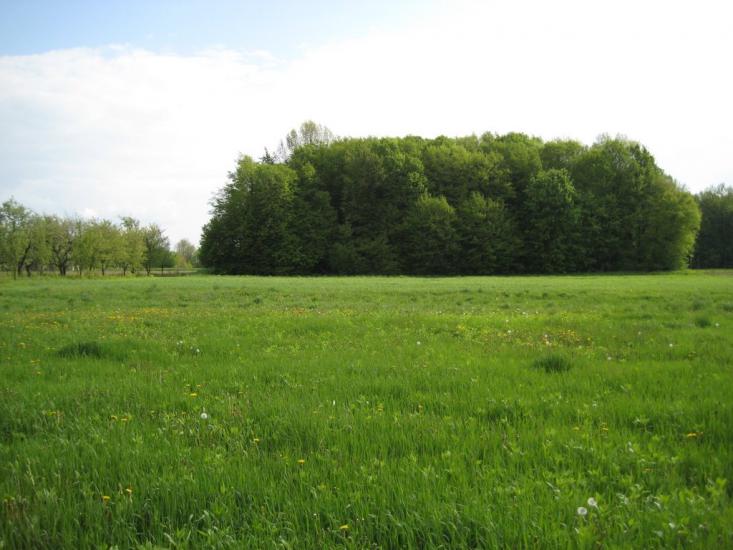 Сподахи з panoramio.com - Сподахи