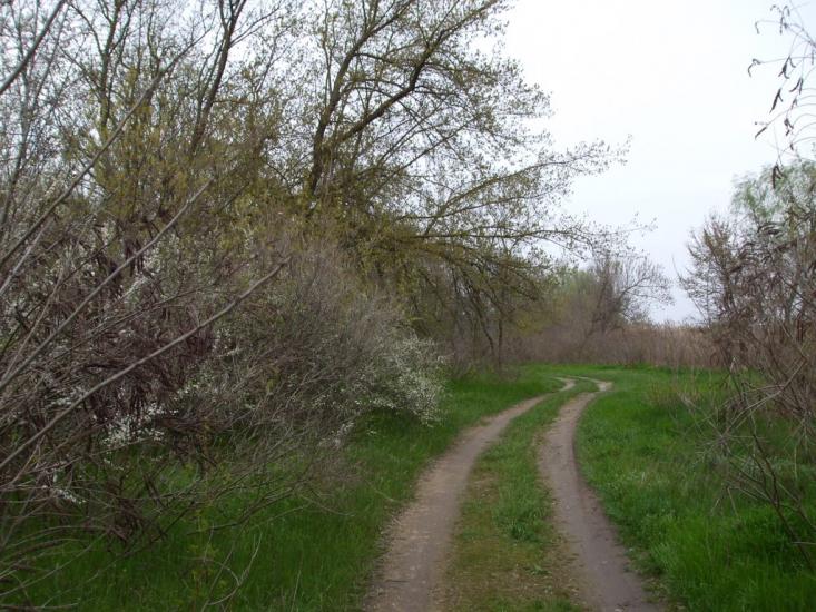 Придніпровське з panoramio.com - Придніпровське