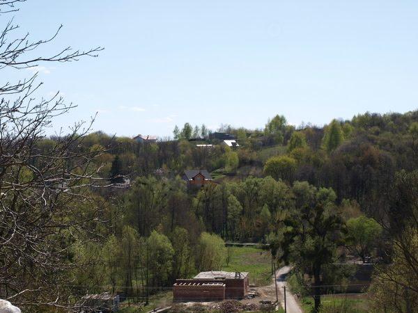 Великі Дмитровичі з panoramio.com - Velyki Dmytrovychi