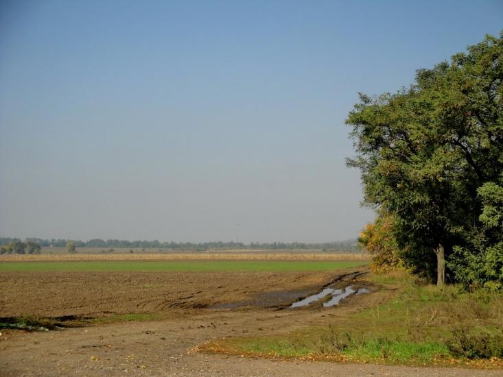 Мар'янське з panoramio.com - Maryanske
