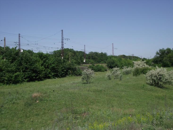 Новогродівка з panoramio.com - Новогродовка