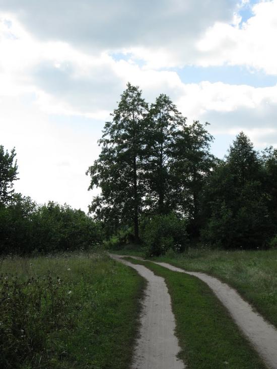 Лохвиця з panoramio.com - Lokhvitsa