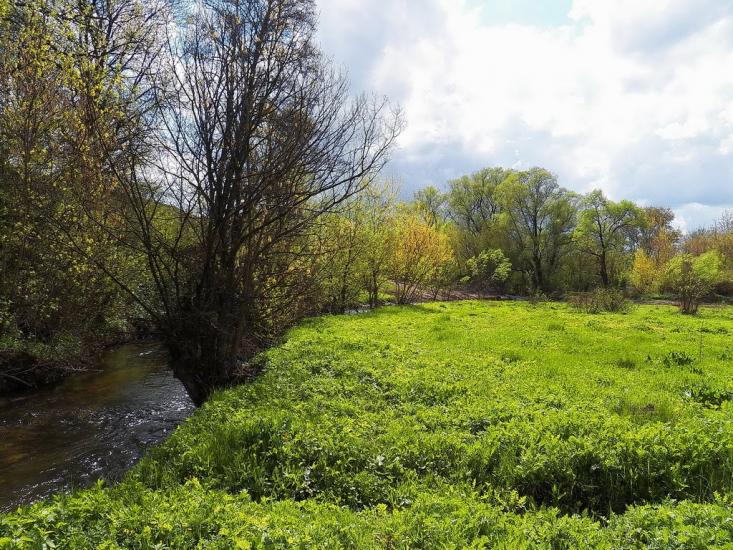 Ольховатка з panoramio.com - Olkhovatka