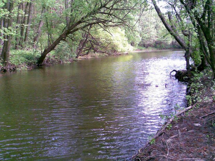 Стримівка з panoramio.com - Стримовка