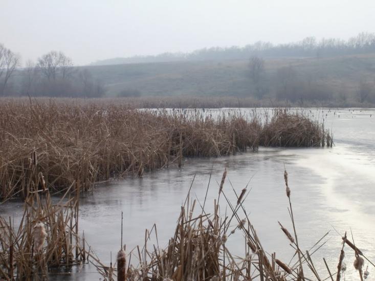 Суха Балка з panoramio.com - Суха Балка