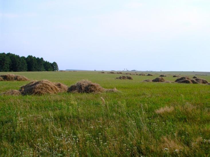 Брусилів з panoramio.com - Брусилов