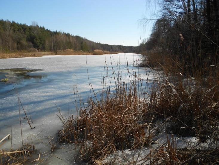 Снігурівка з panoramio.com - Снігурівка