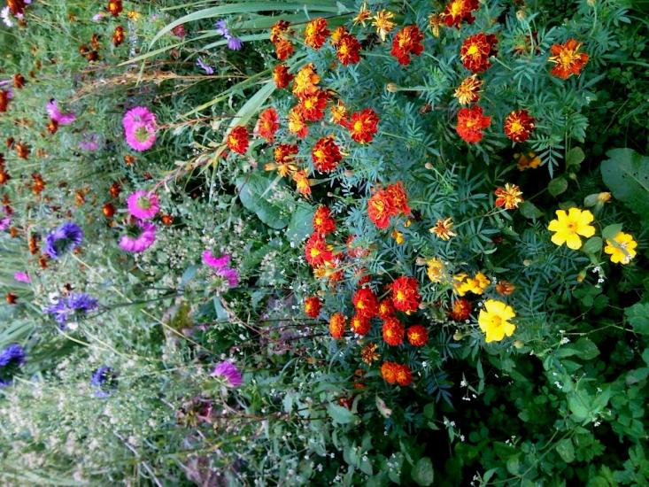 Великі Глібовичі з panoramio.com - Великі Глібовичі