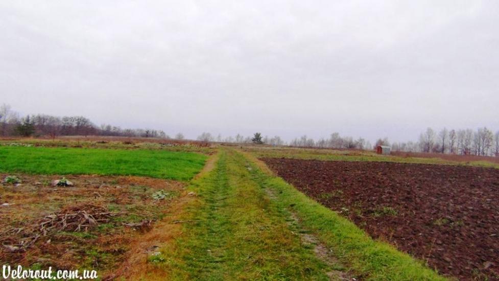 Великі Дмитровичі з panoramio.com - Великі Дмитровичі