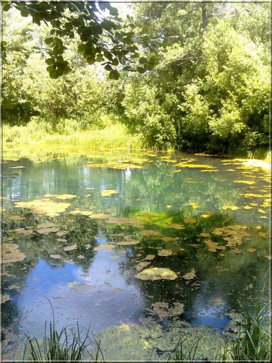 Кушкине з panoramio.com - Кушкино