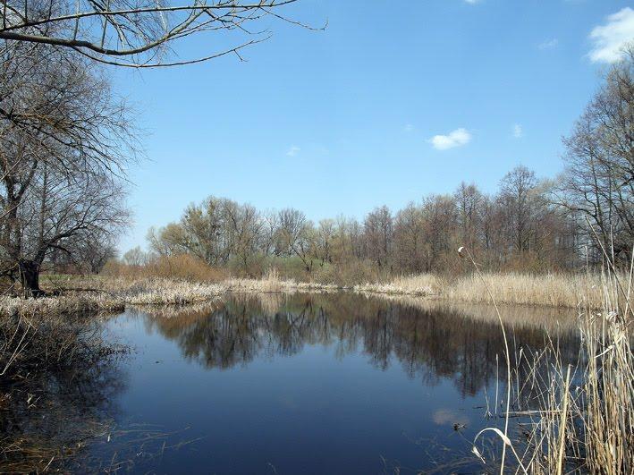 Вельбівка з panoramio.com - Вельбовка
