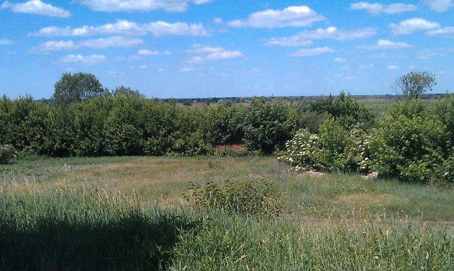 Святилівка з panoramio.com - Святиловка
