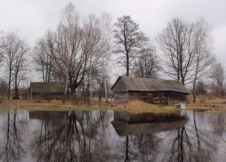 Троянівка з panoramio.com - Троянівка