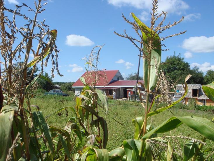 Баглайки з panoramio.com - Баглайки