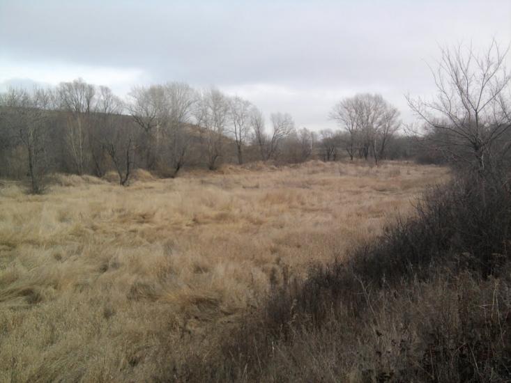 Успенка з panoramio.com - Успенка
