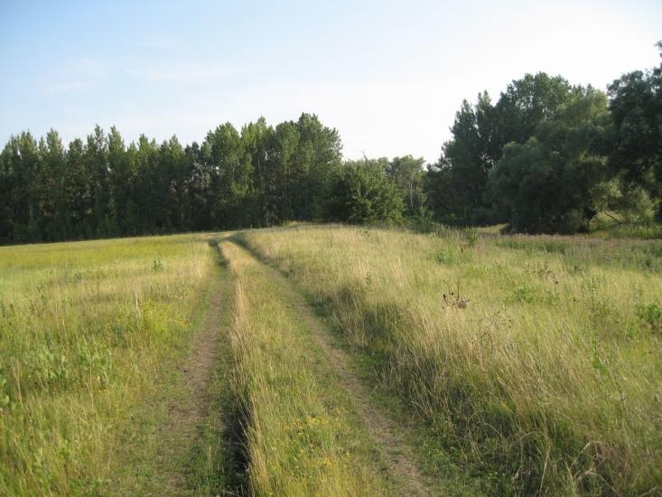 Плавні з panoramio.com - Плавни