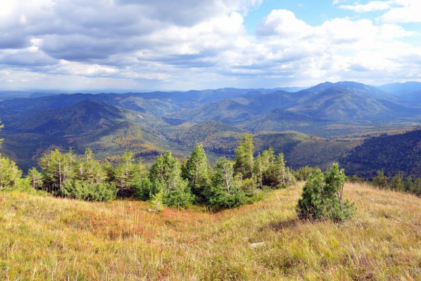 Гриньків з panoramio.com - Гриньків