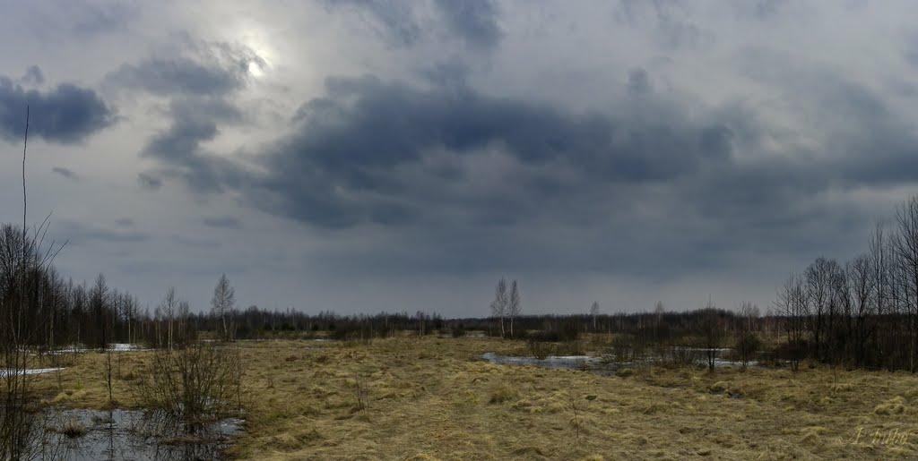 Грибова Рудня з panoramio.com - Грибова Рудня
