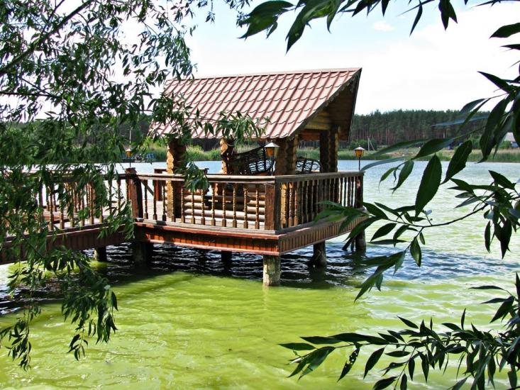 Лісові Сорочинці з panoramio.com - Lisovi Sorochyntsi