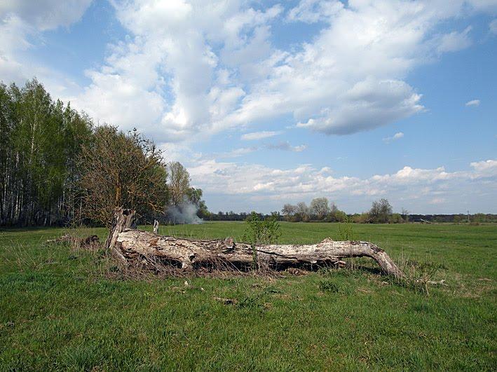 Вельбівка з panoramio.com - Вельбовка