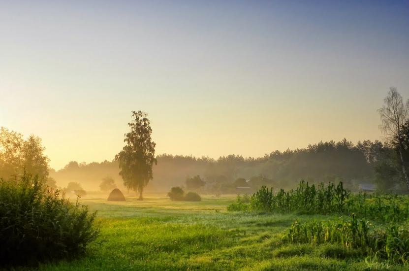 Грибова Рудня з panoramio.com - Грибова Рудня