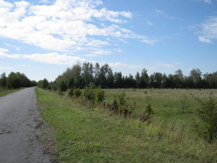 Стольне з panoramio.com - Стольне