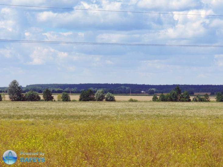 Березняки з panoramio.com - Березняки