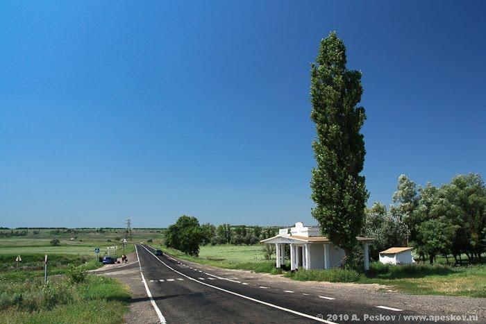Новокам'янка з panoramio.com - Новокаменка